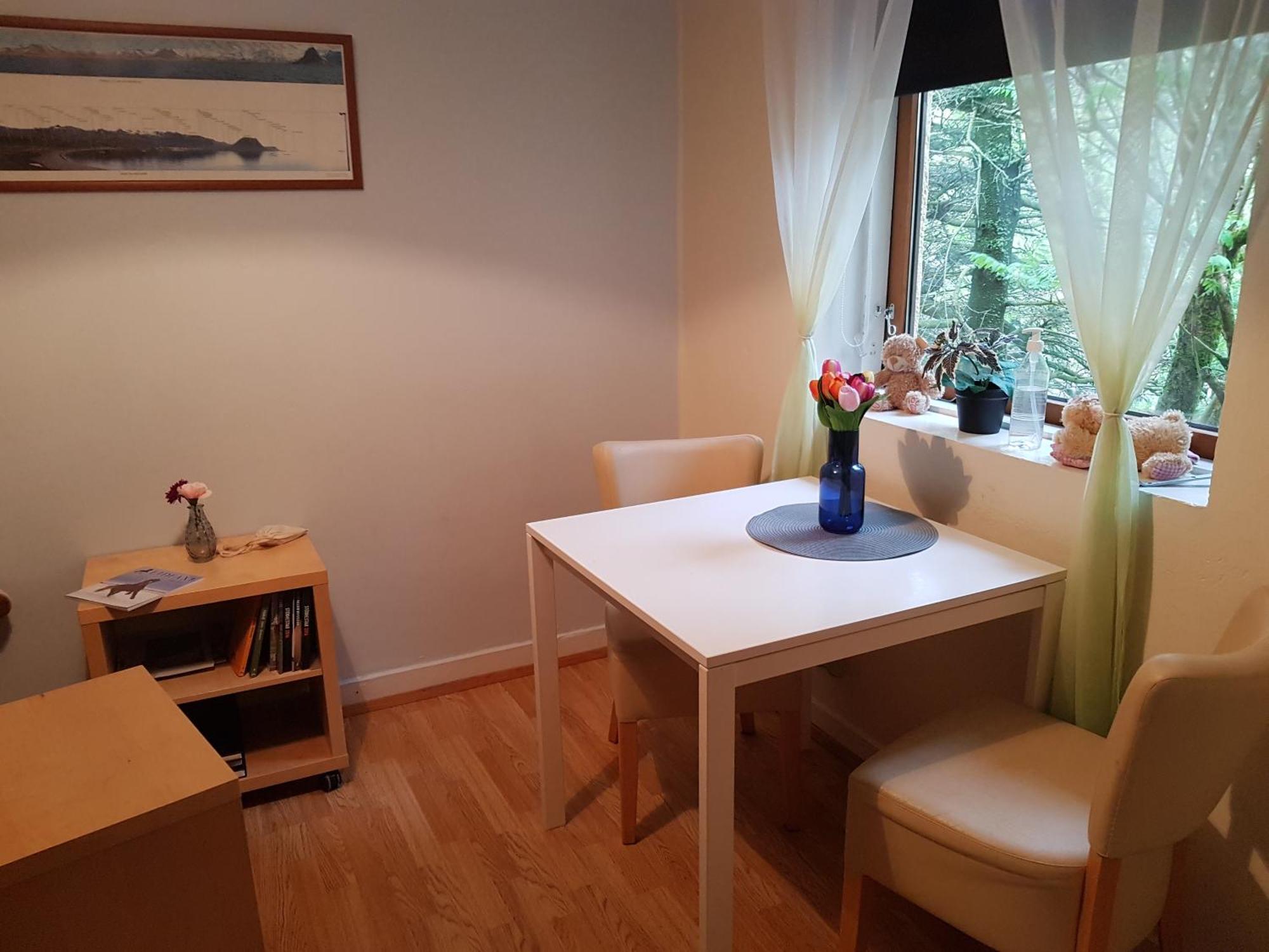 Skjolsteinar Apartment Grundarfjordur Ruang foto