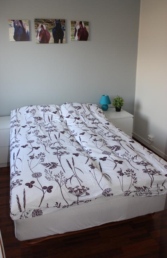 Skjolsteinar Apartment Grundarfjordur Bagian luar foto